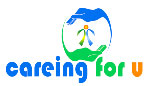 Domiciliary Care Service